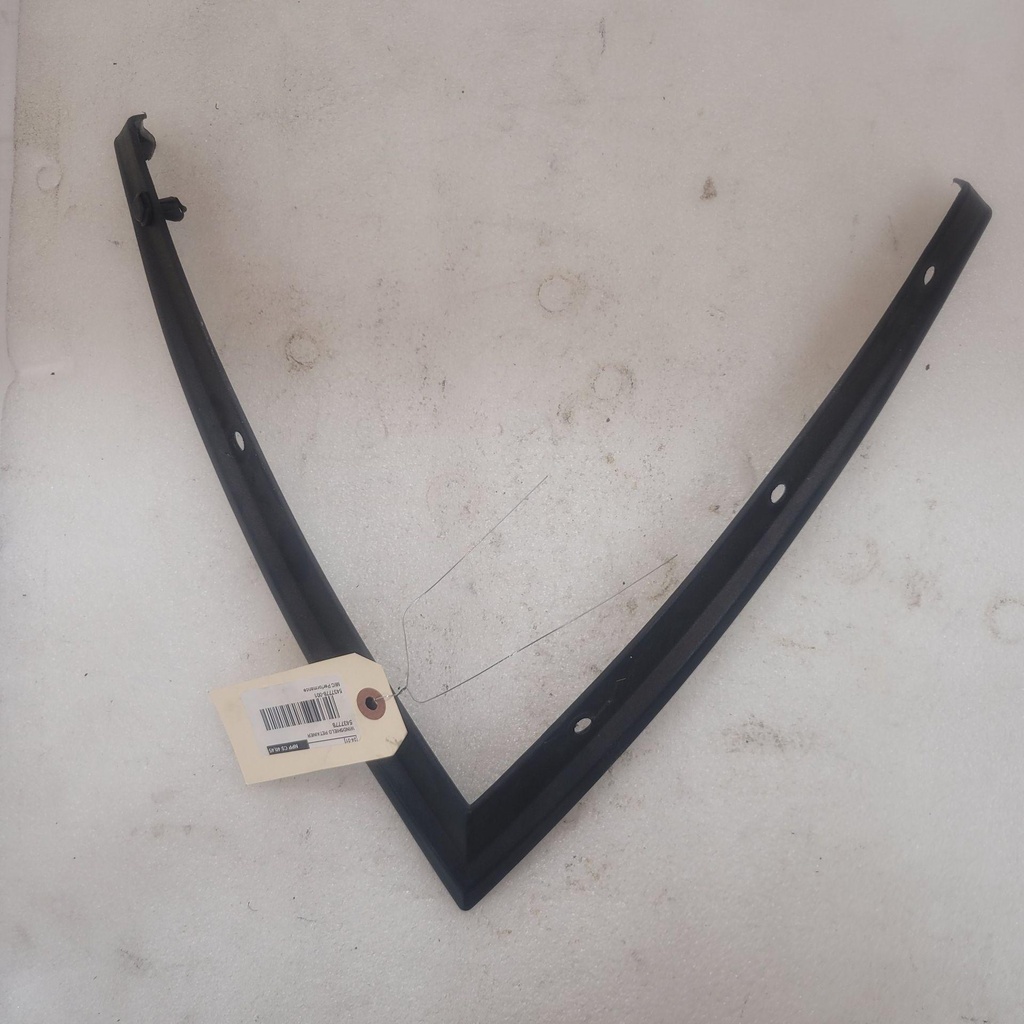 WINDSHIELD RETAINER