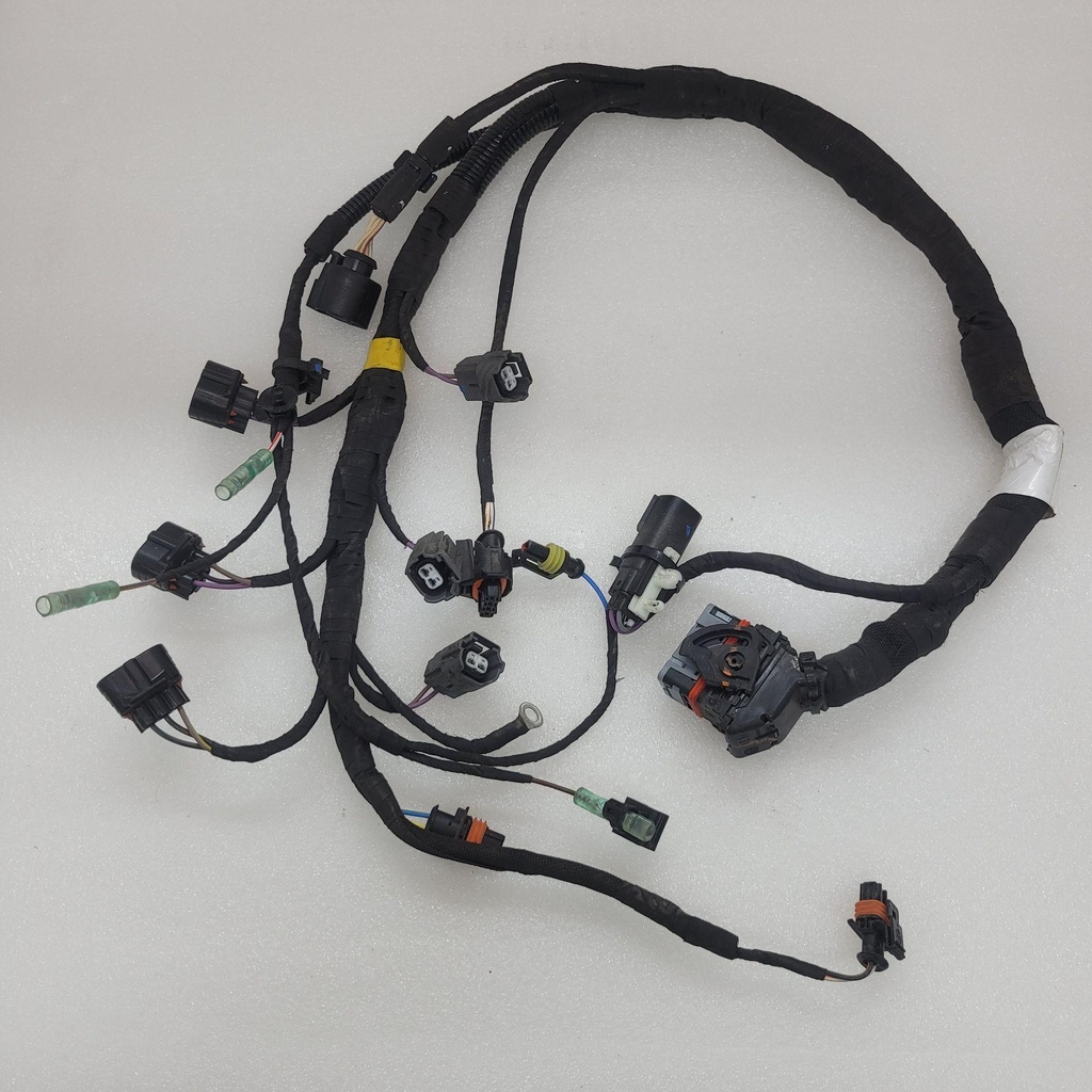 [420864359-001] wiring harness (420864359-001)