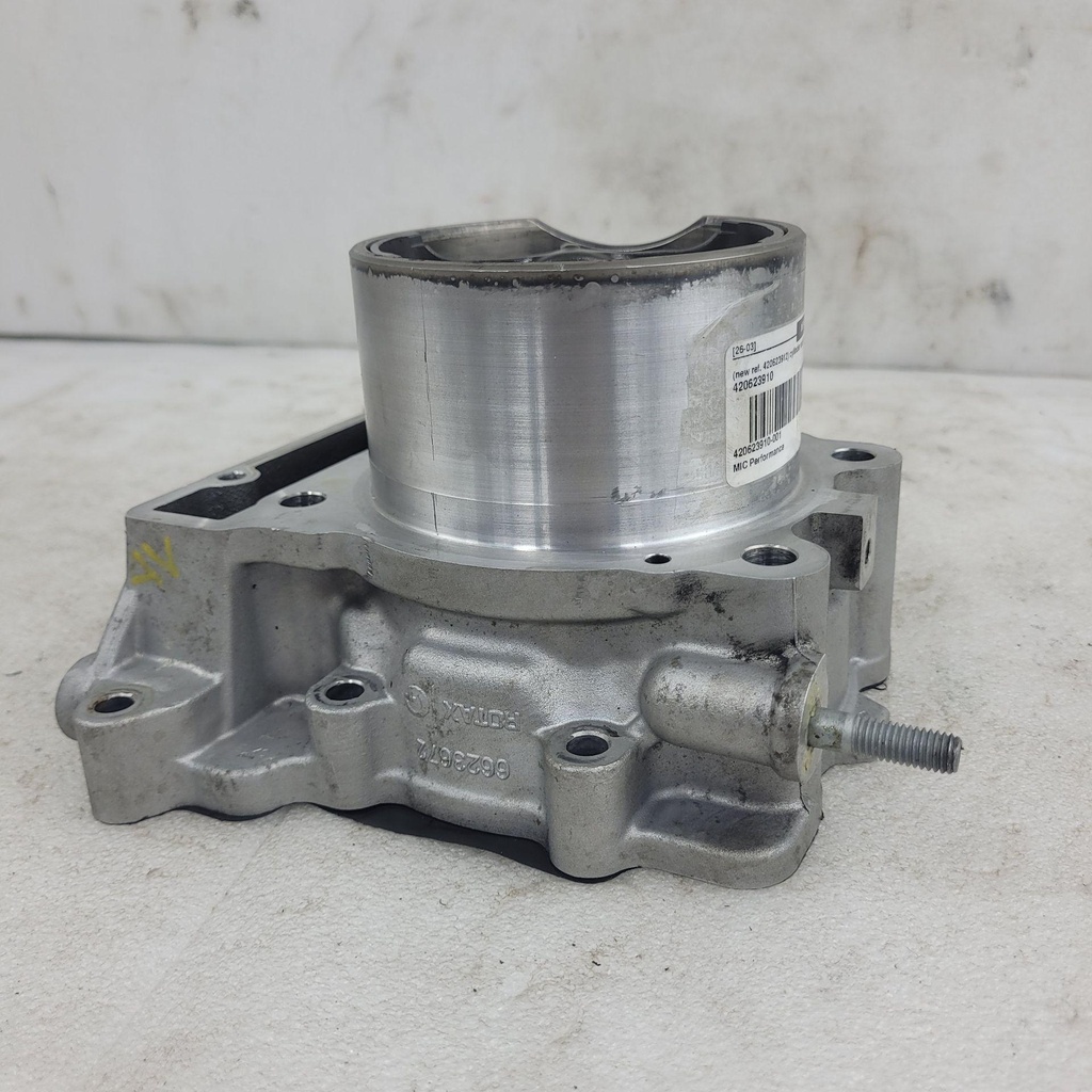(new ref. 420623912) cylinder and pistons ass'y