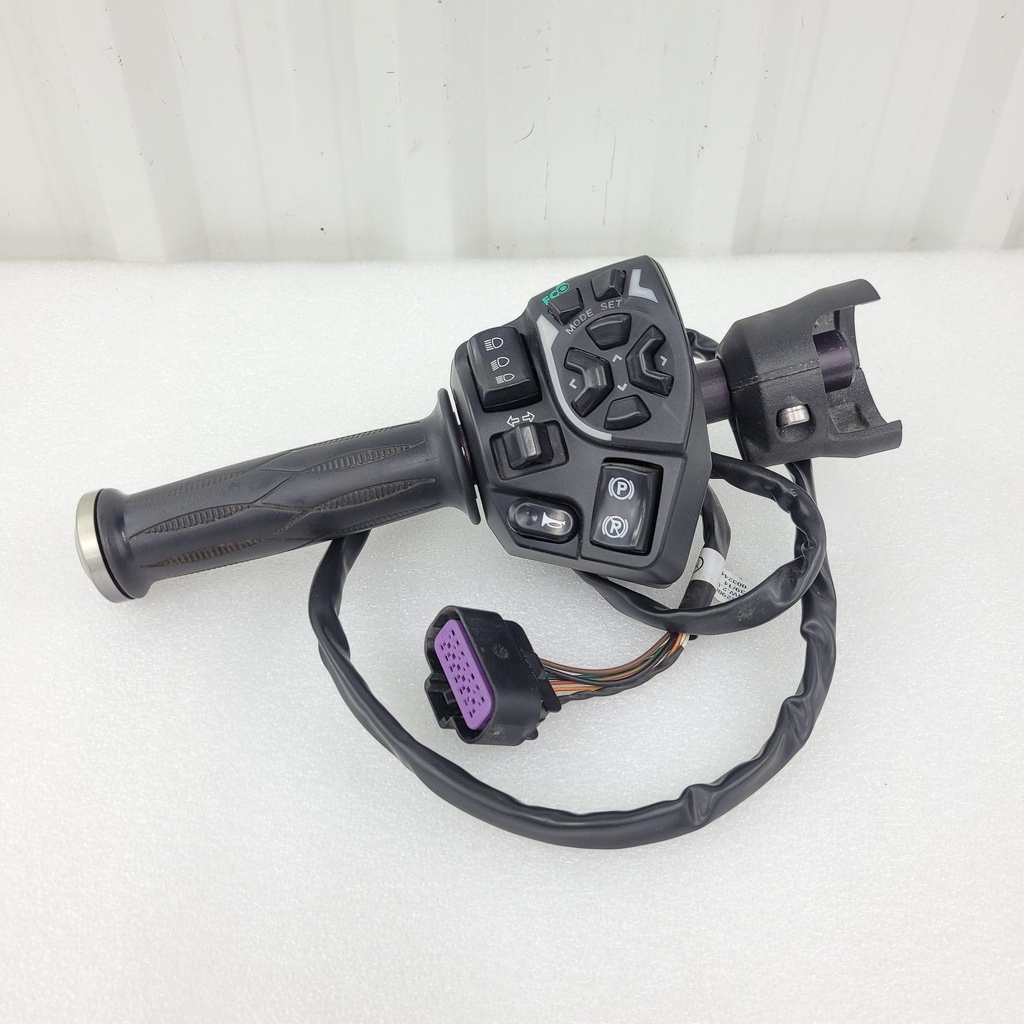 [710003937-001] lh housing switch sm6