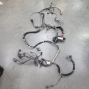 chassis harness, rzr s 1000