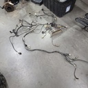 main cable