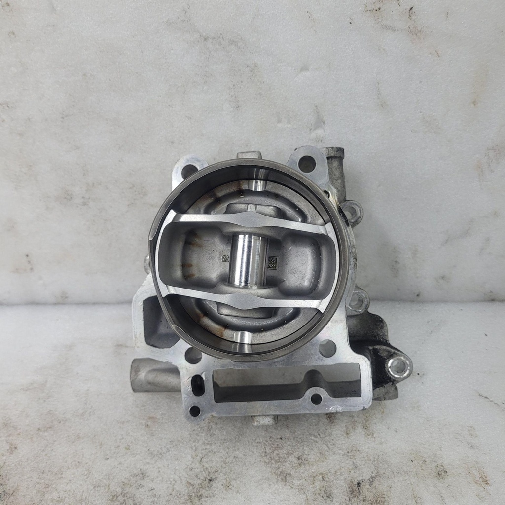 [420623220-001] (new ref. 420623227) cylinder and pistons ass'y (420623220-001)