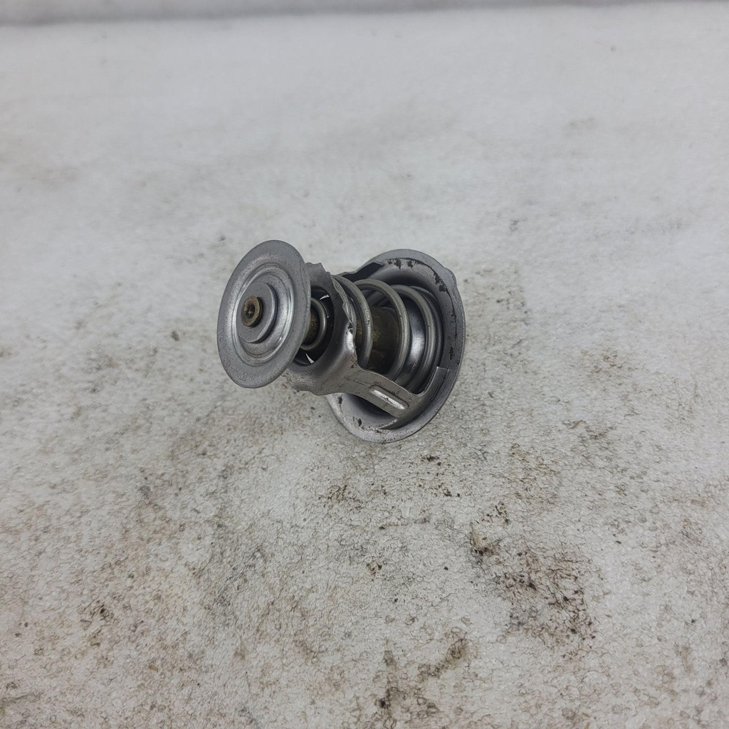 Thermostat - 2017-2020 Stampede Havoc