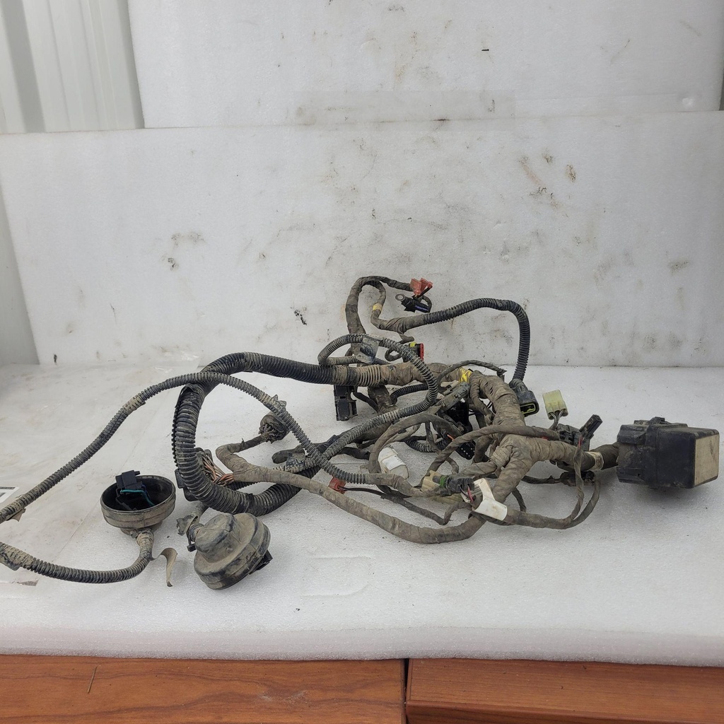 [710007896-001] main wiring harness