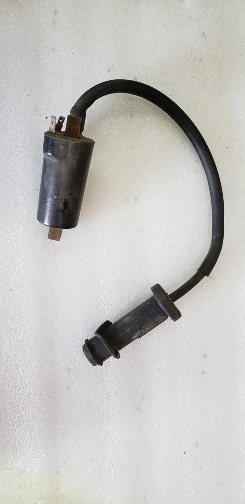 [0824-043-001] Coil, Ignition - Assembly (0824-043-001)