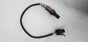 SENSOR, HTD OXY - POLARIS - 12589321
