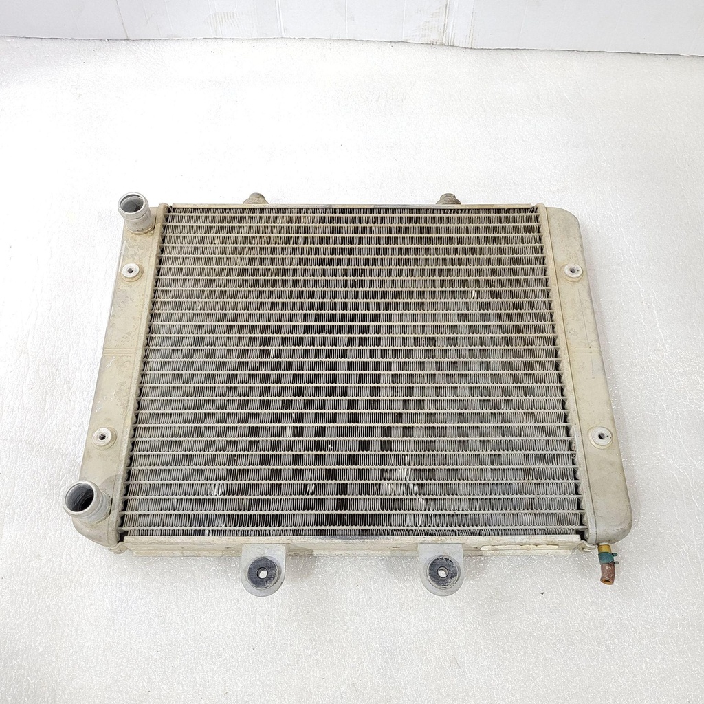 ASM-RADIATOR,CORE