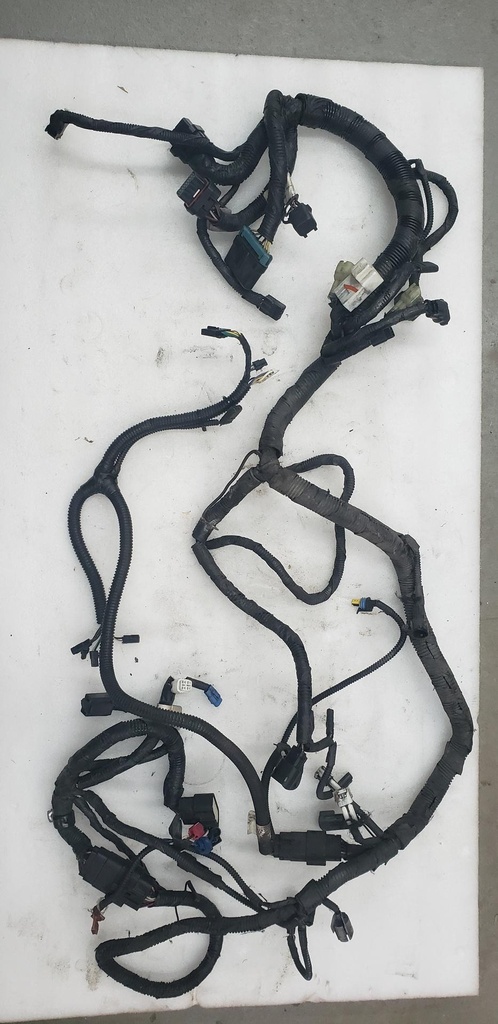 harness, main (inc. 12-15)