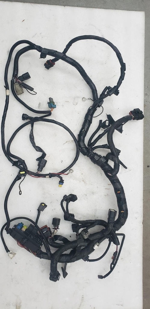 Harness, Main (inc. 11-19)