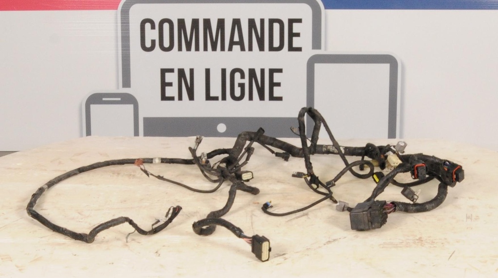 Harness, Main (inc. 12-20)