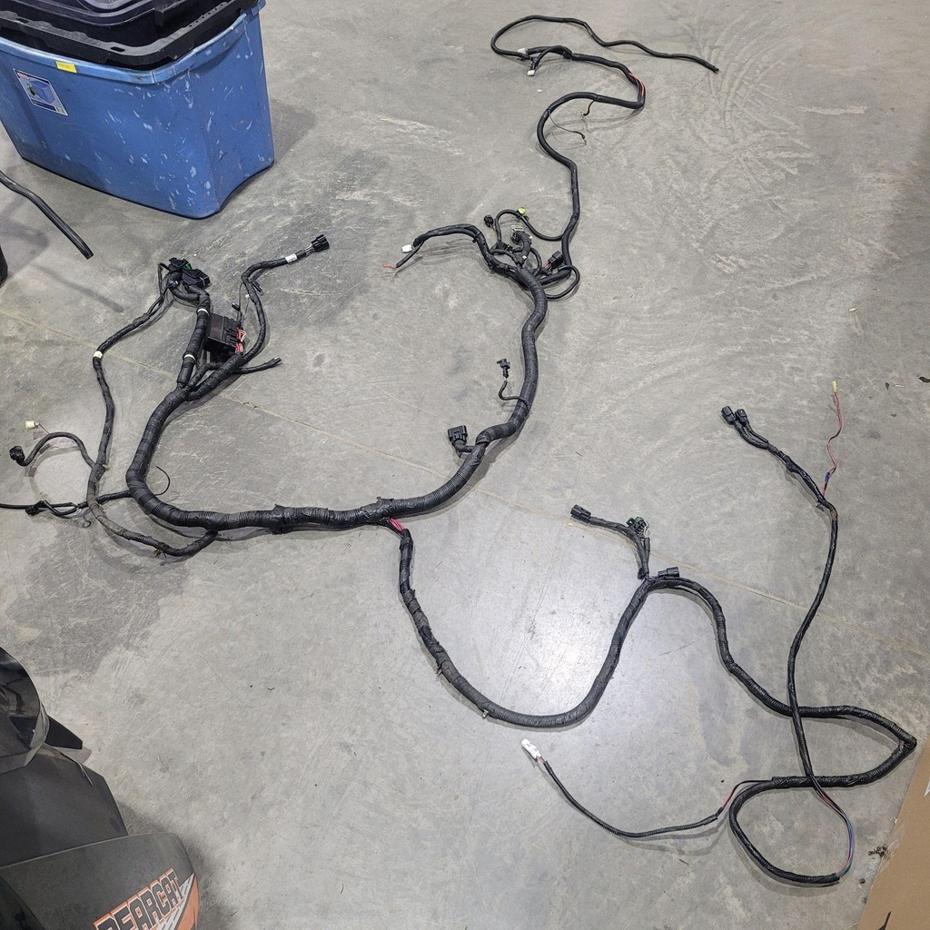 harness, main (inc. 10-17)