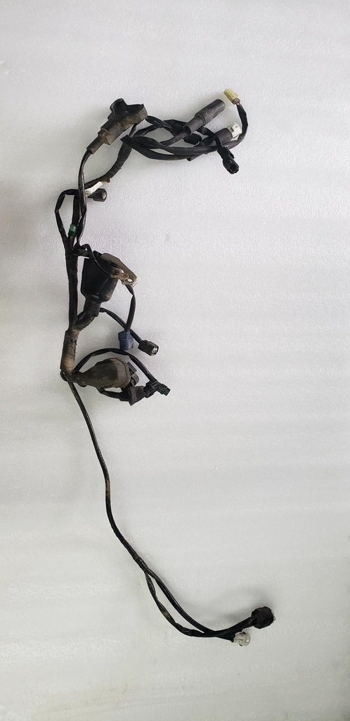 Wire Harness Assy