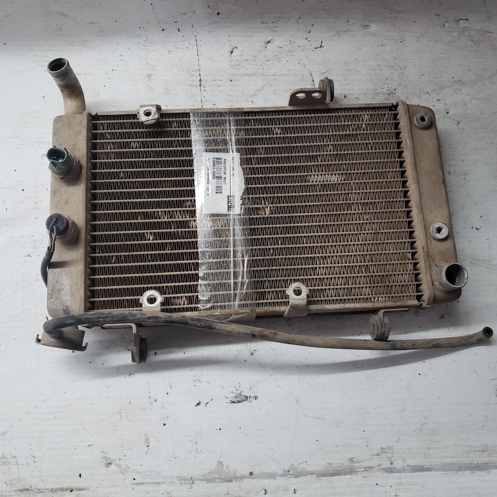 KAWASAKI RADIATOR ASSY - 39061-S009