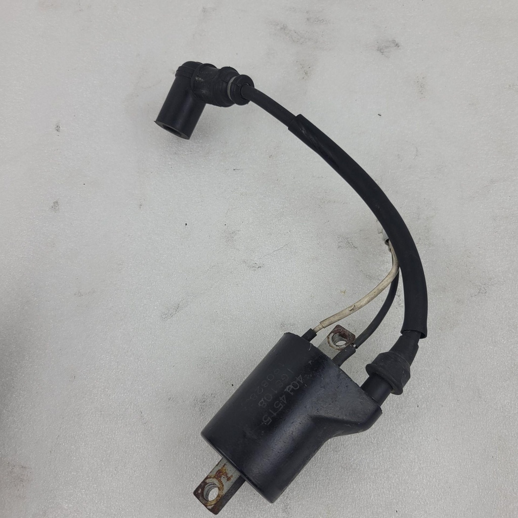 coil-ign,dc-sdi,w/zip tie,mag