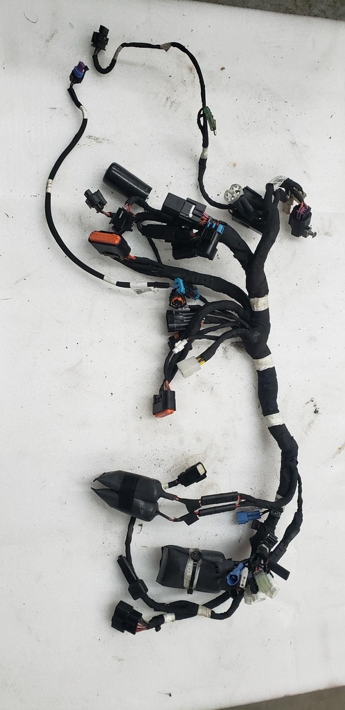 HARNESS-MAIN LE STD [INCL - POLARIS - 2412445