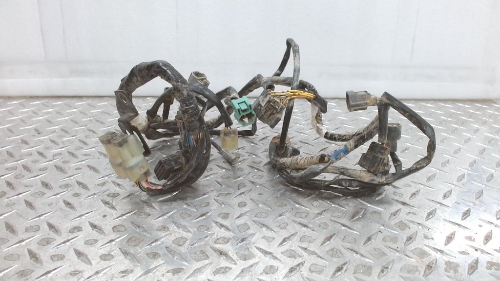 HARNESS,MAIN