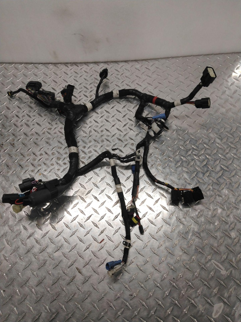 MAIN HARNESS, LE PREM