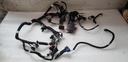 MAIN HARNESS, 800 WT, PBR
