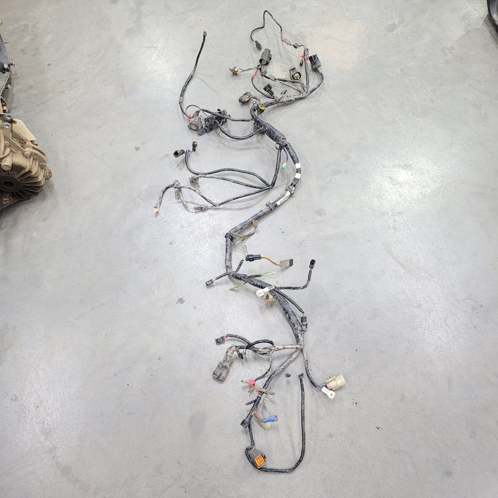 harness,main