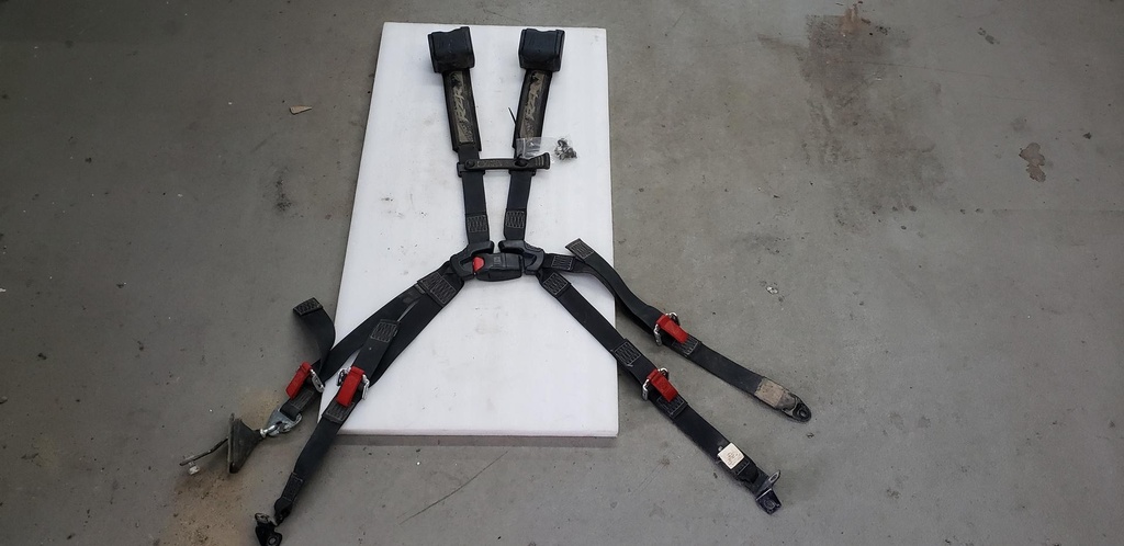 MULTI POINT SEAT BELT ASSEMBLY,
