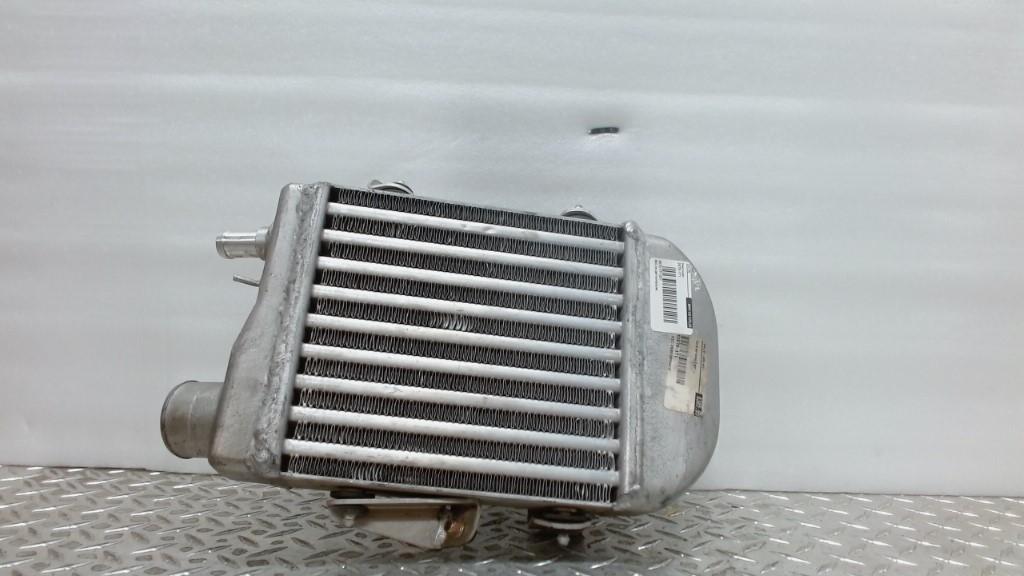 [2670-171-001] intercooler (2670-171-001)