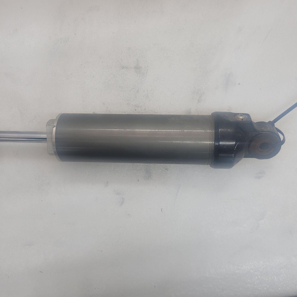 shock, rear arm