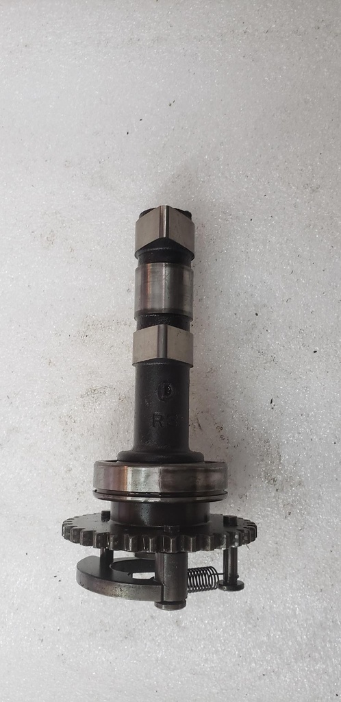 Camshaft Assy 2