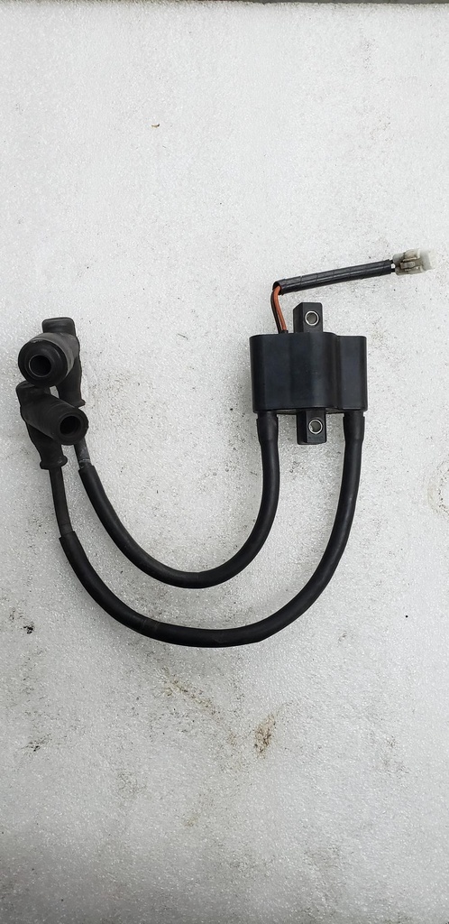 Coil, Ignition - Assembly - 3007-451 arctic cat