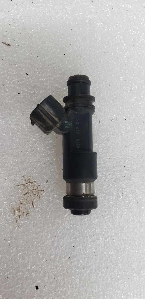 ASM-INJECTOR - POLARIS - 3089893