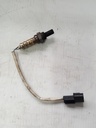 sensor, oxygen