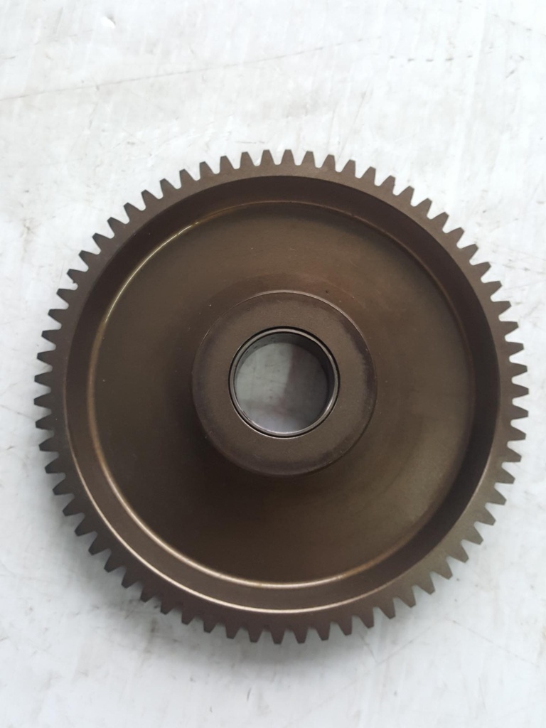 gear, starter clutch