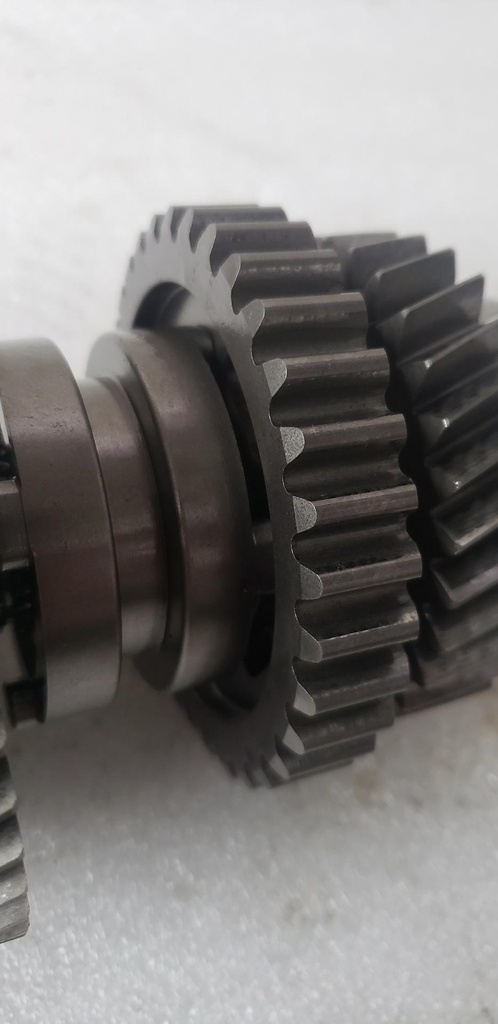 SPROCKET-REVERSE 33T (354301)