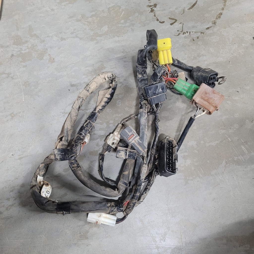 Harness, Main