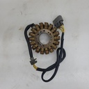 stator plate 650w tundra, grand touring se, exp le-se, ren enduro, skandic
