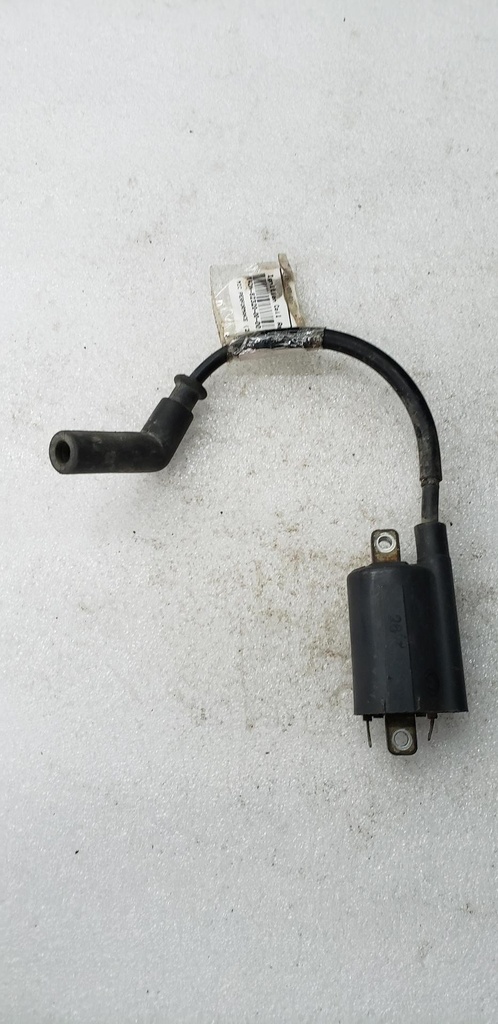 Ignition Coil Assy - YAMAHA - 4DN-82320-00-00