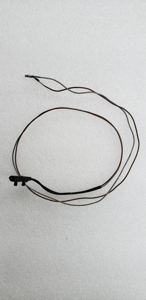 microswitch