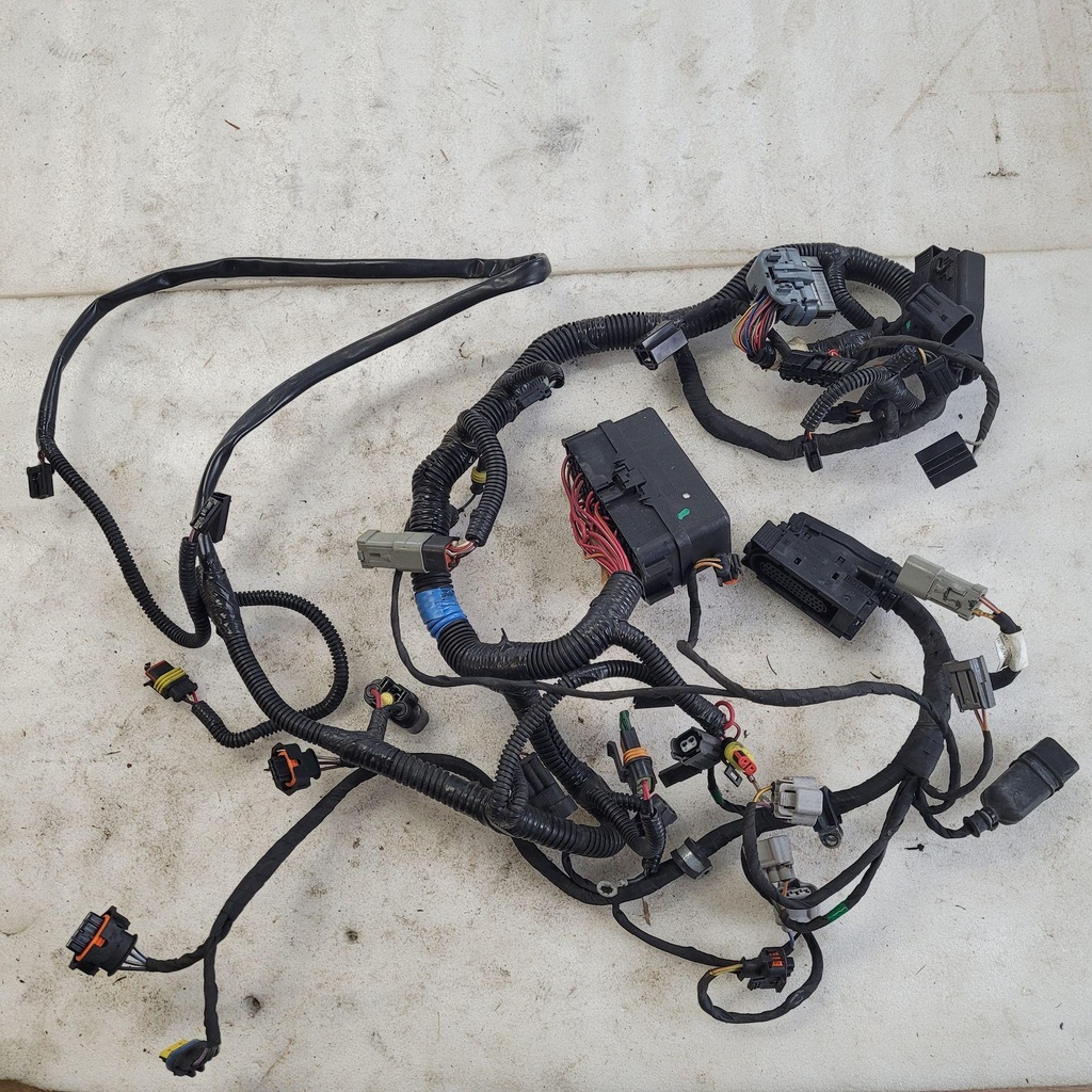 MAIN HARNESS