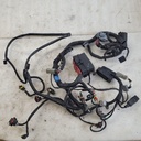 MAIN HARNESS