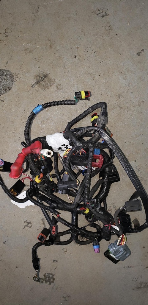 BOMBARDIER Frame Harness 800RE Excep - 515177384