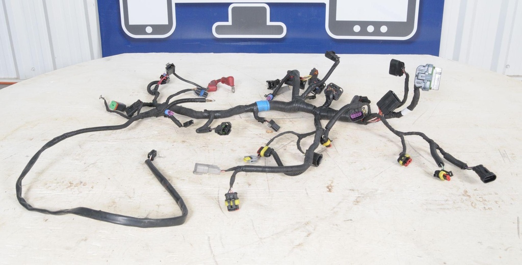 Main Wiring Harness Ass'y 800R E-TEC