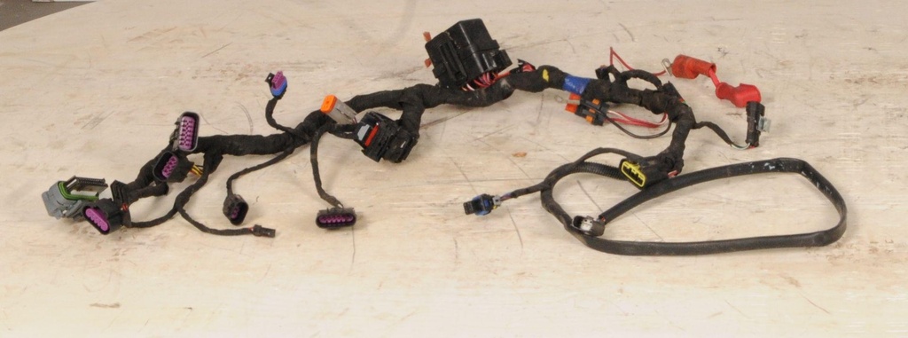 main harness