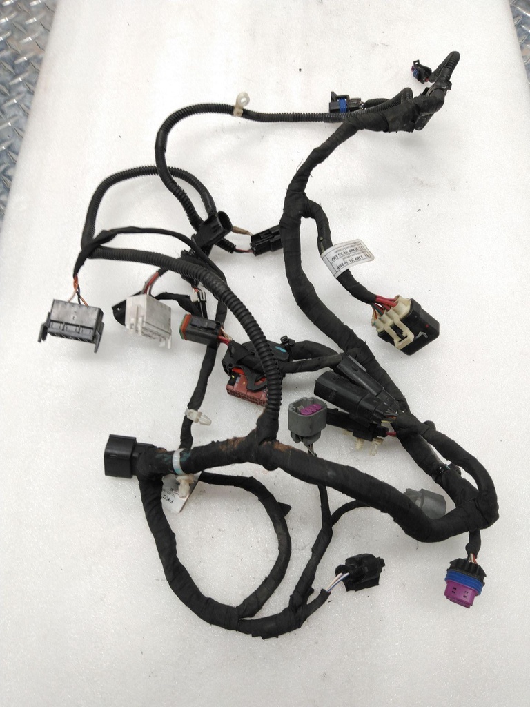 Main Harness