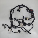 main harness