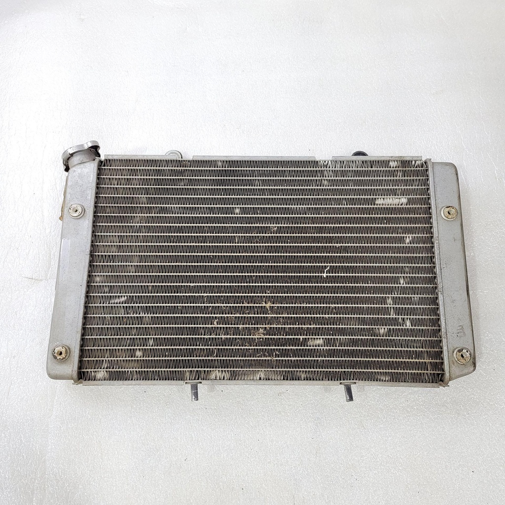 Radiator Comp - 5B4-E2461-00-00 YAMAHA