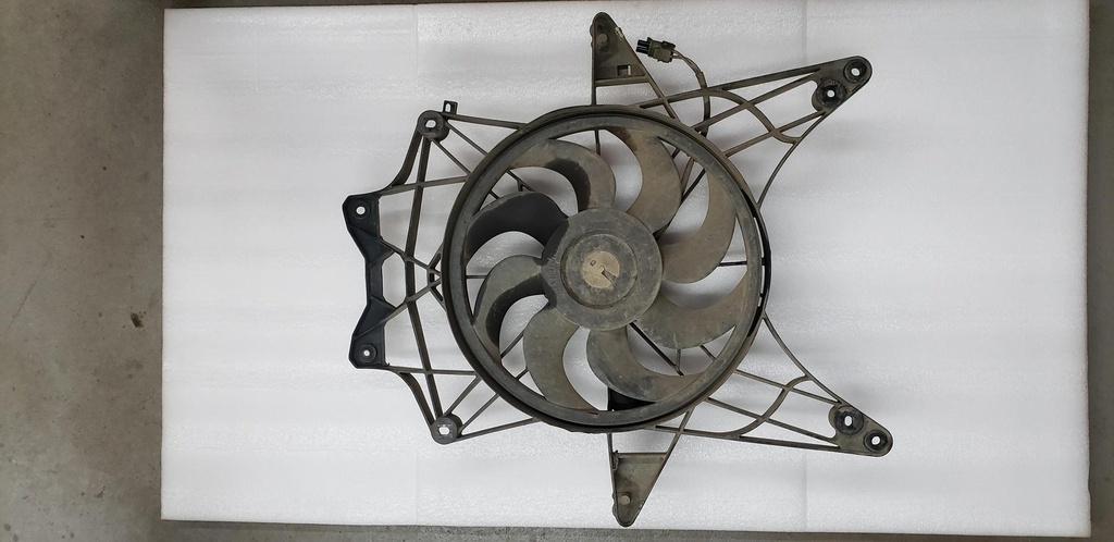 fan