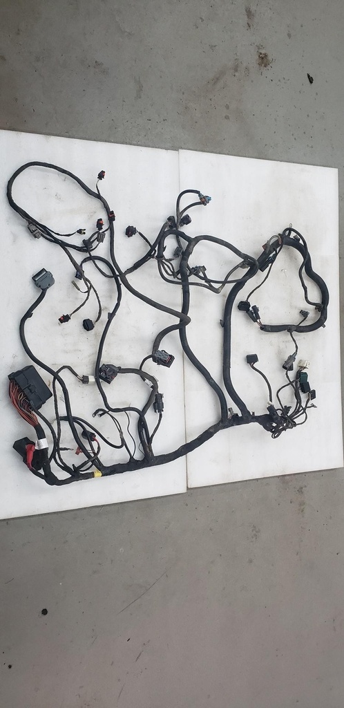 Main Harness Ass'y