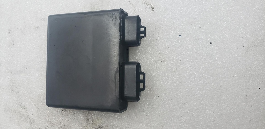 Engine Control Unit Assy