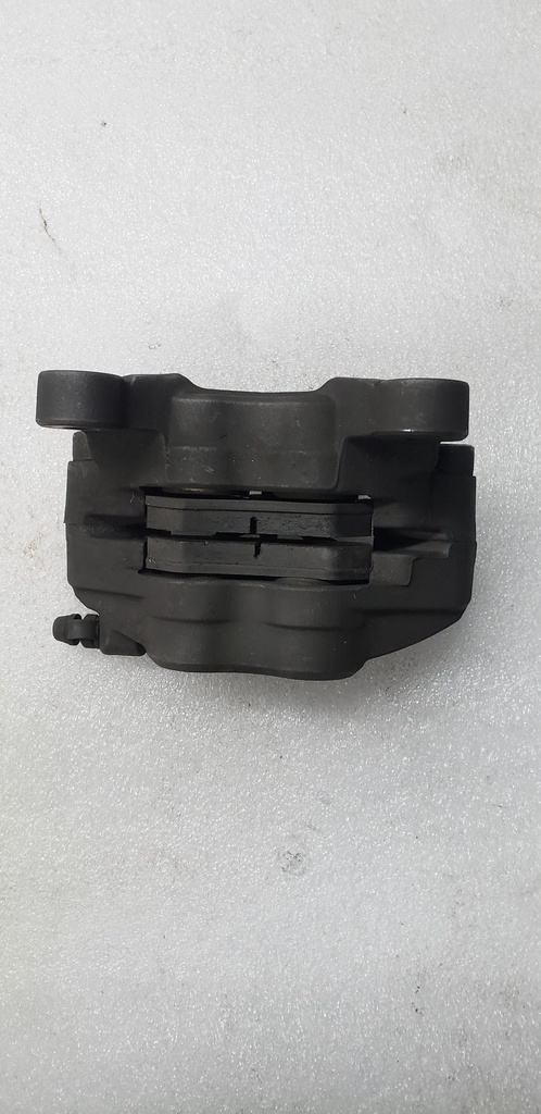 Caliper Assy (Left)