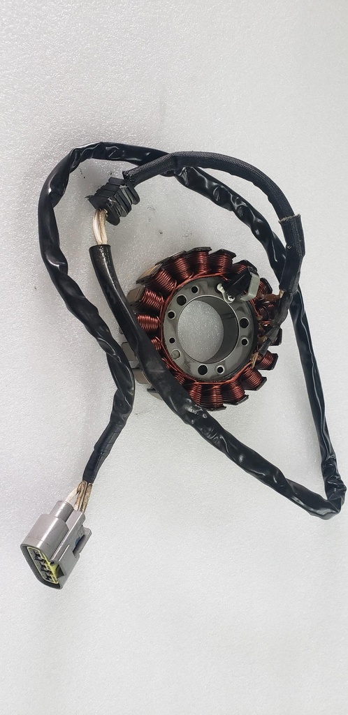 Stator Assy